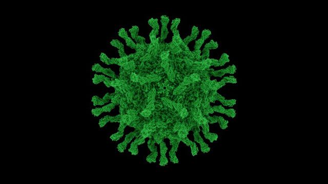 Close up image of a poliovirus particle.