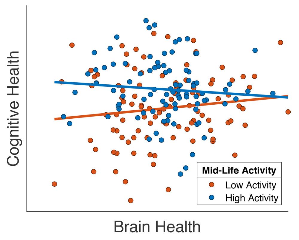 Graph showing the brain health of senior patients is improved if they report high levels of mid-life social activity
