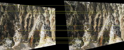Rectified stereo image pair