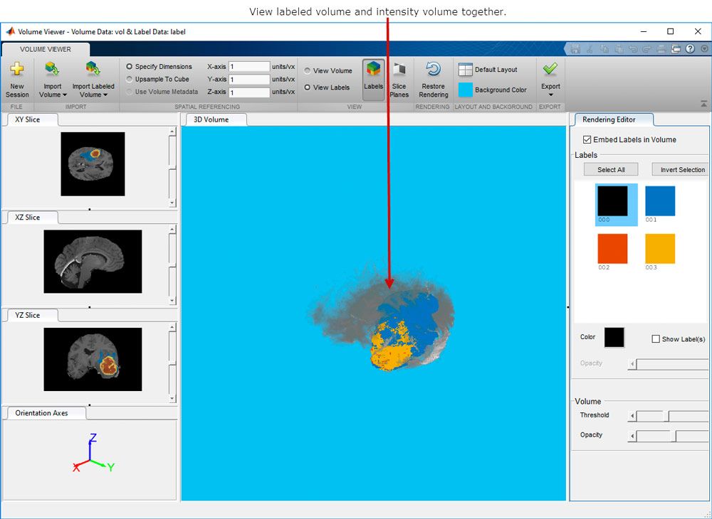 Volume Viewer app, which shows 3D volumetric data and 3D labeled volumetric data.