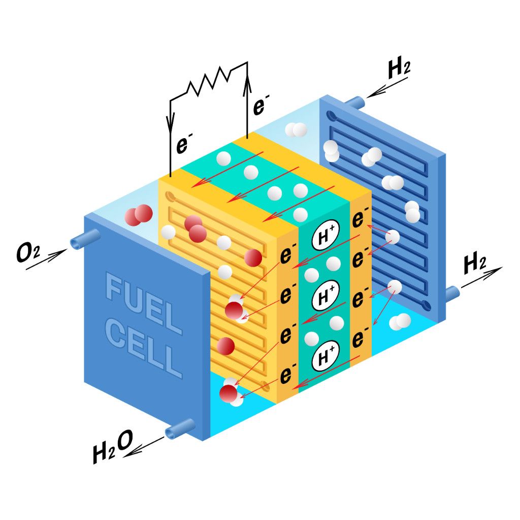 PEM fuel cell illustration of the flow of oxygen and hydrogen and the chemical reaction to produce an electric current and water.