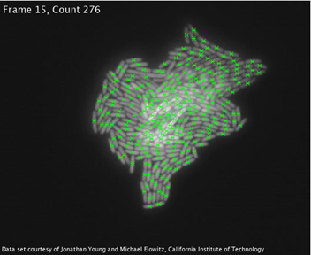 A cell count image, frame 15, count 276, with green dots highlighting the cells.